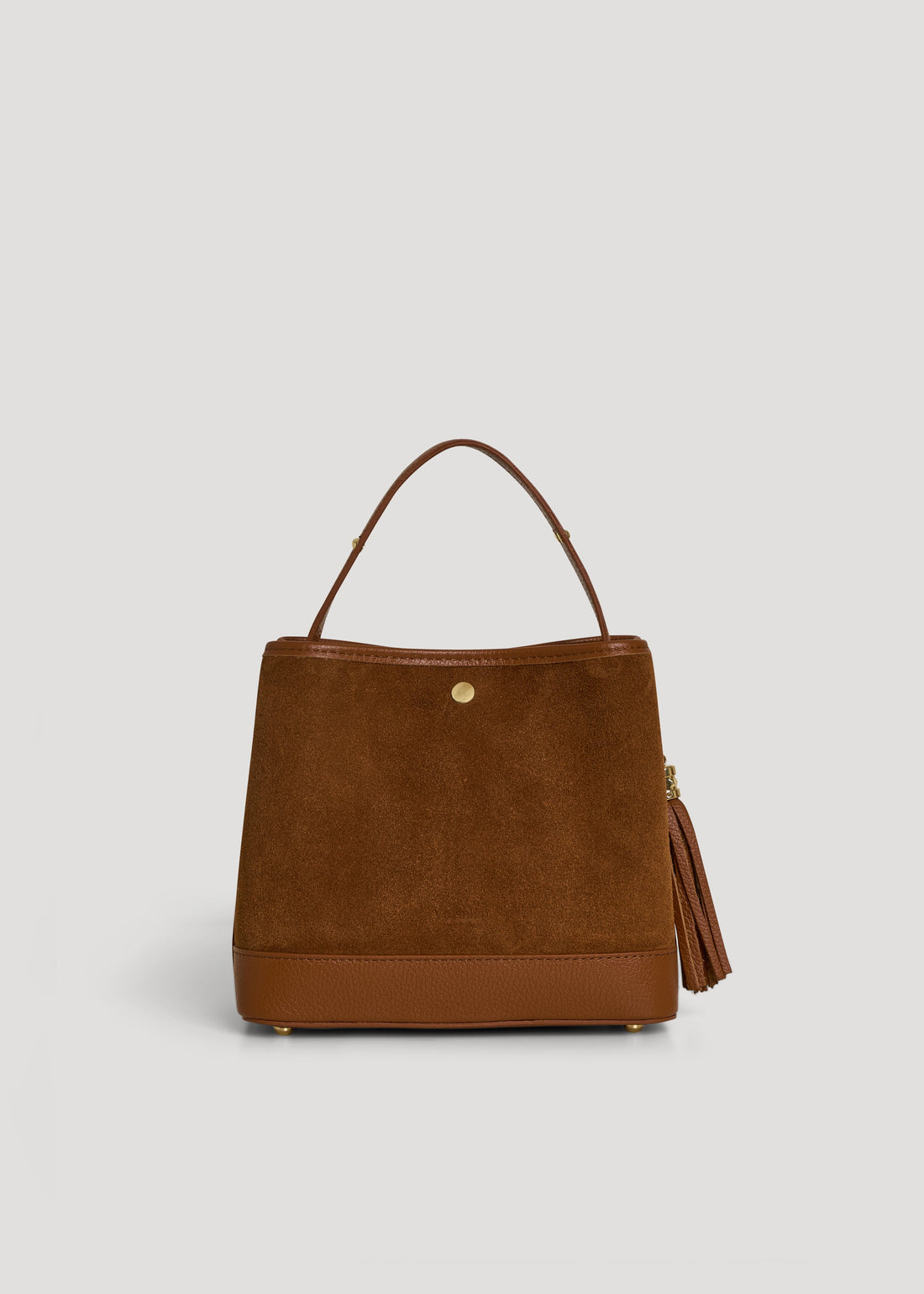 Kendy Bag in Tan Suede and Dollar Leather