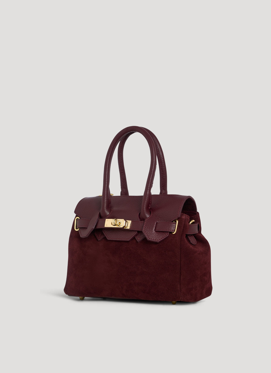 Elizabeth Micro Bag in Burgundy Suede and Togo Leather