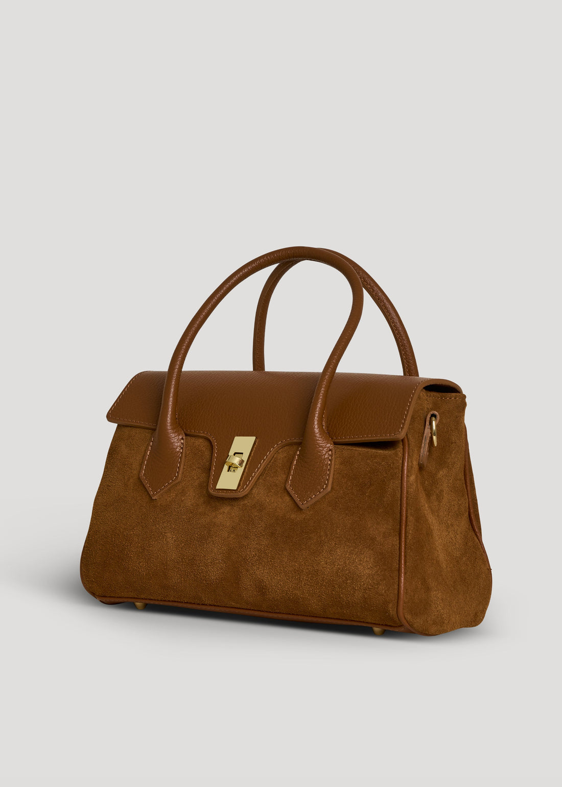 Cécile Bag in Tan Suede and Dollar Leather