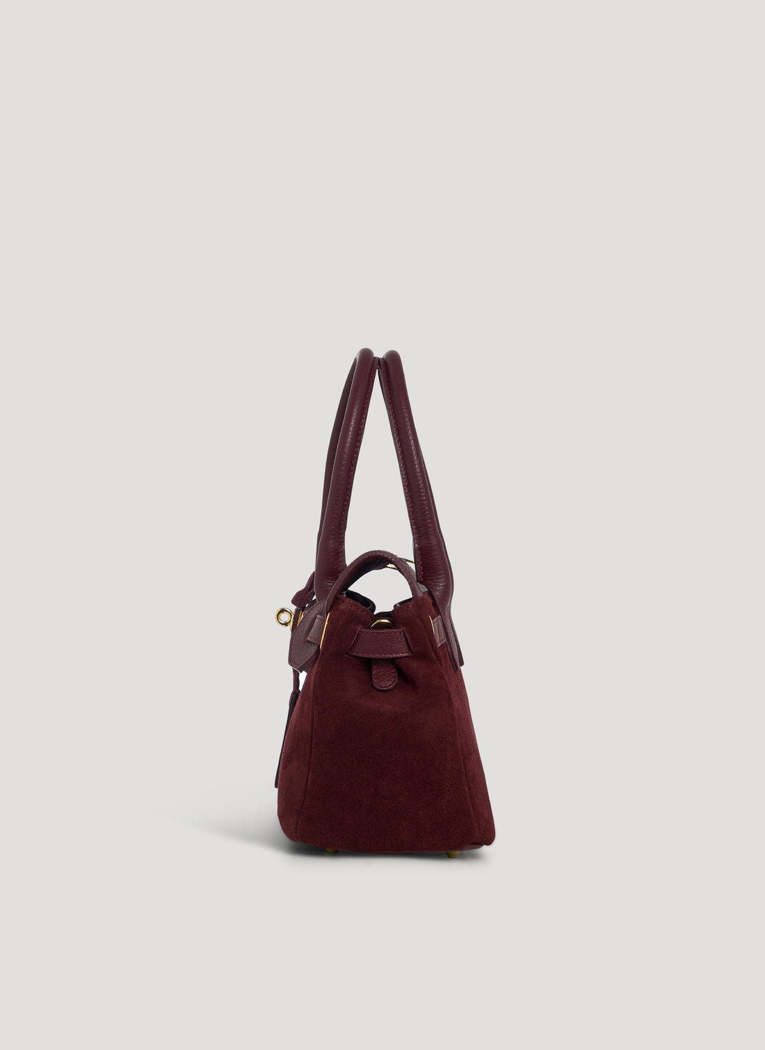 Elizabeth Micro Bag in Burgundy Suede and Togo Leather