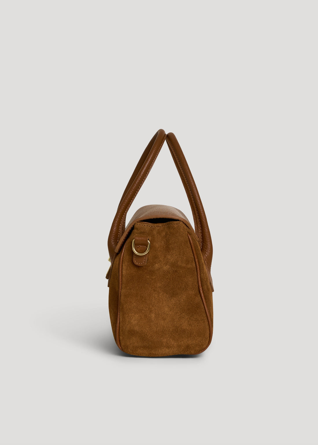 Cécile Bag in Tan Suede and Dollar Leather