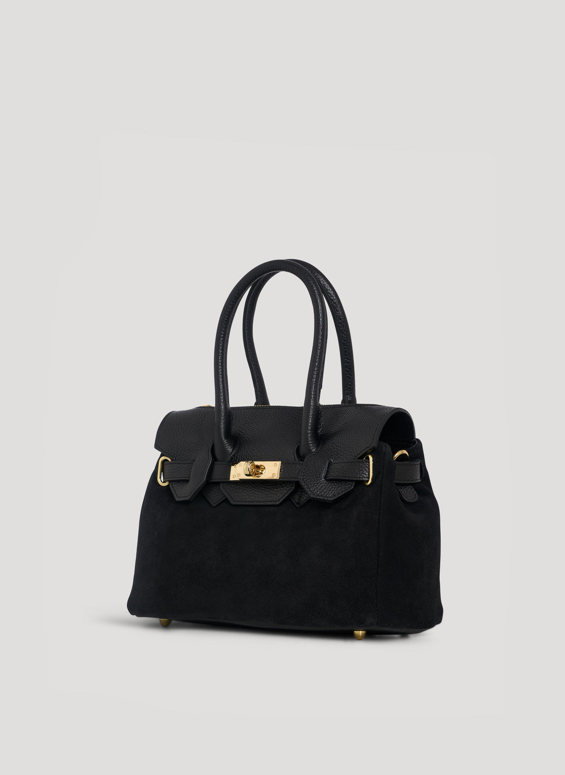 Elizabeth Micro Bag in Black Suede and Togo Leather