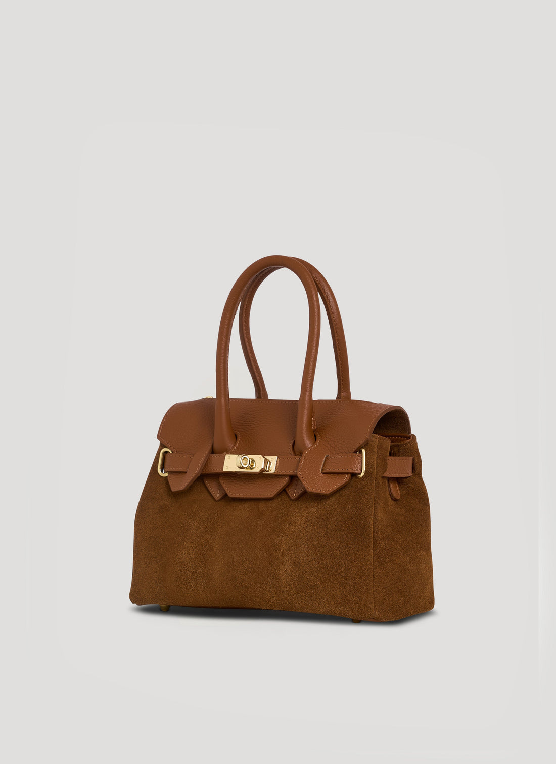 Elizabeth Micro Bag in Tan Suede and Togo Leather