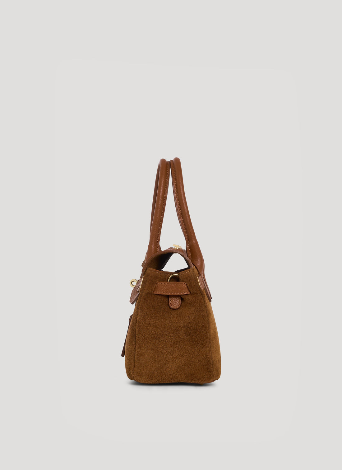 Elizabeth Micro Bag in Tan Suede and Togo Leather
