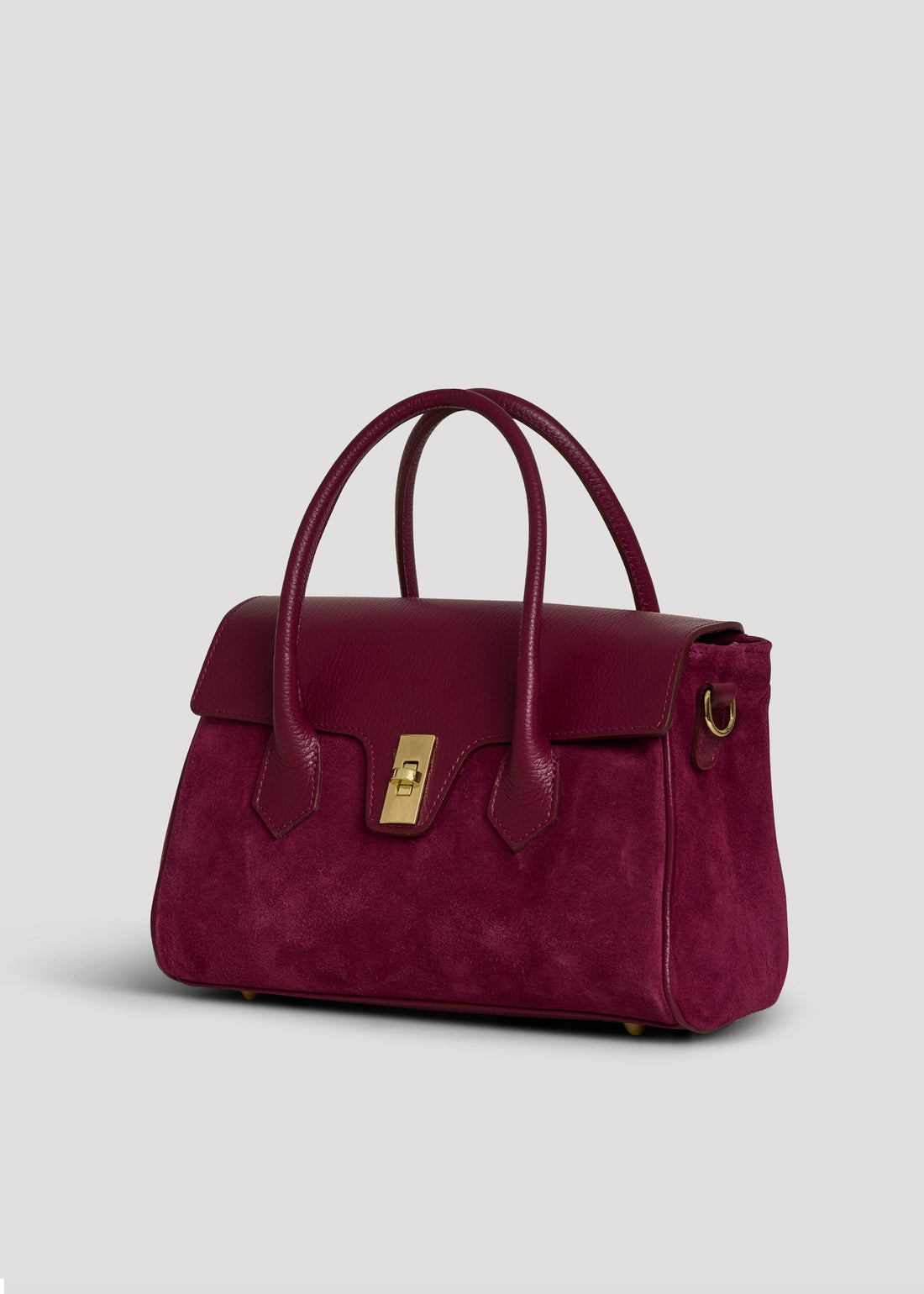 Cécile Bag in Burgundy Suede and Dollar Leather