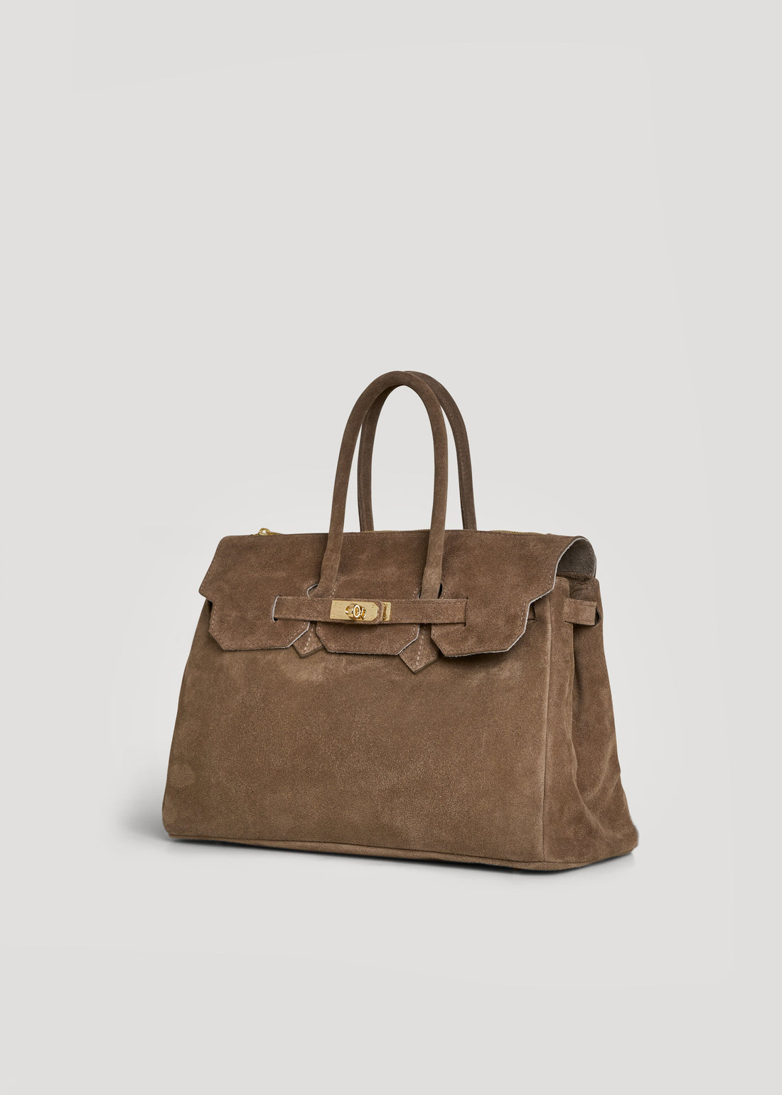 Elizabeth Bag in Taupe Suede and Togo Leather