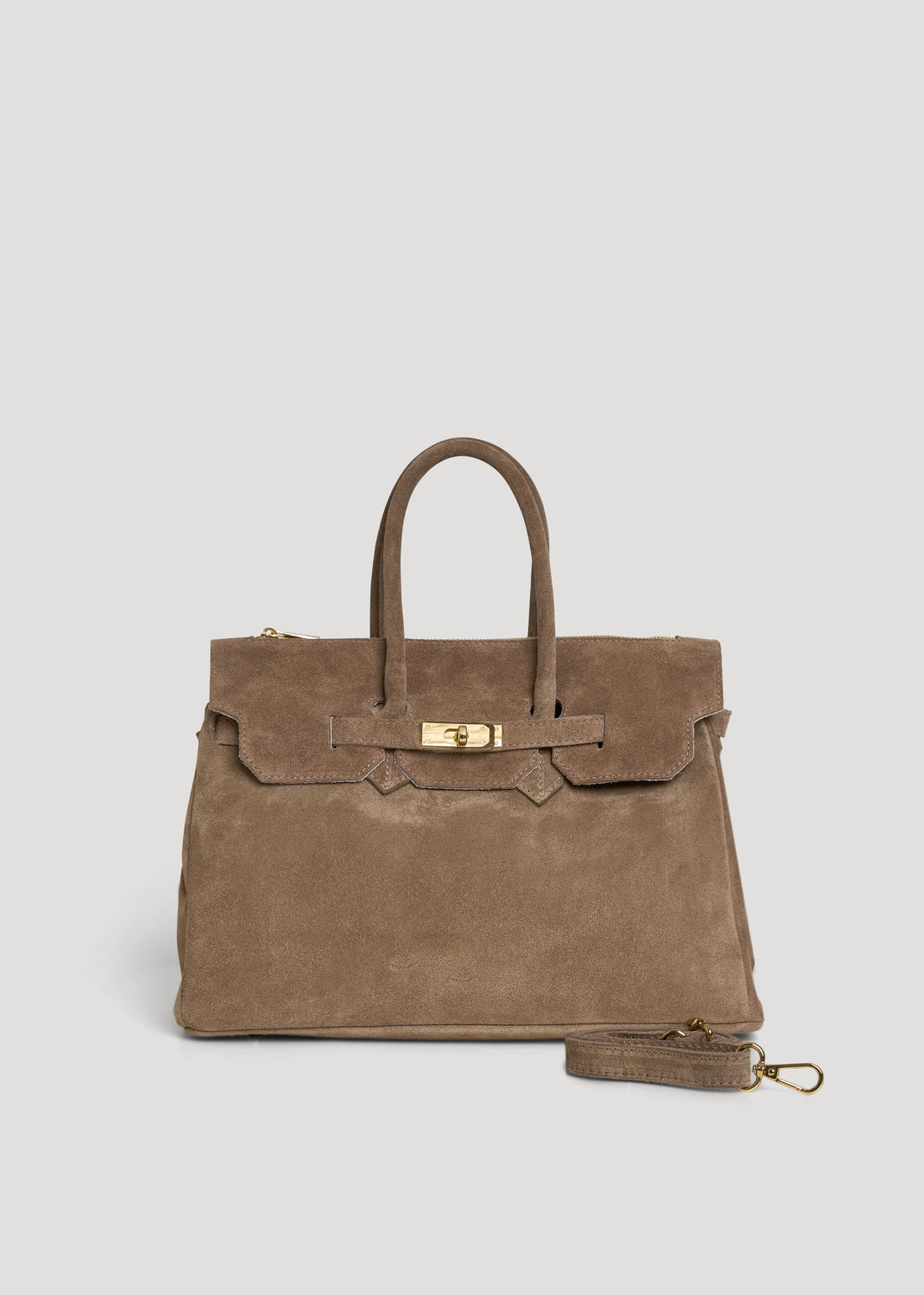 Elizabeth Bag in Taupe Suede and Togo Leather
