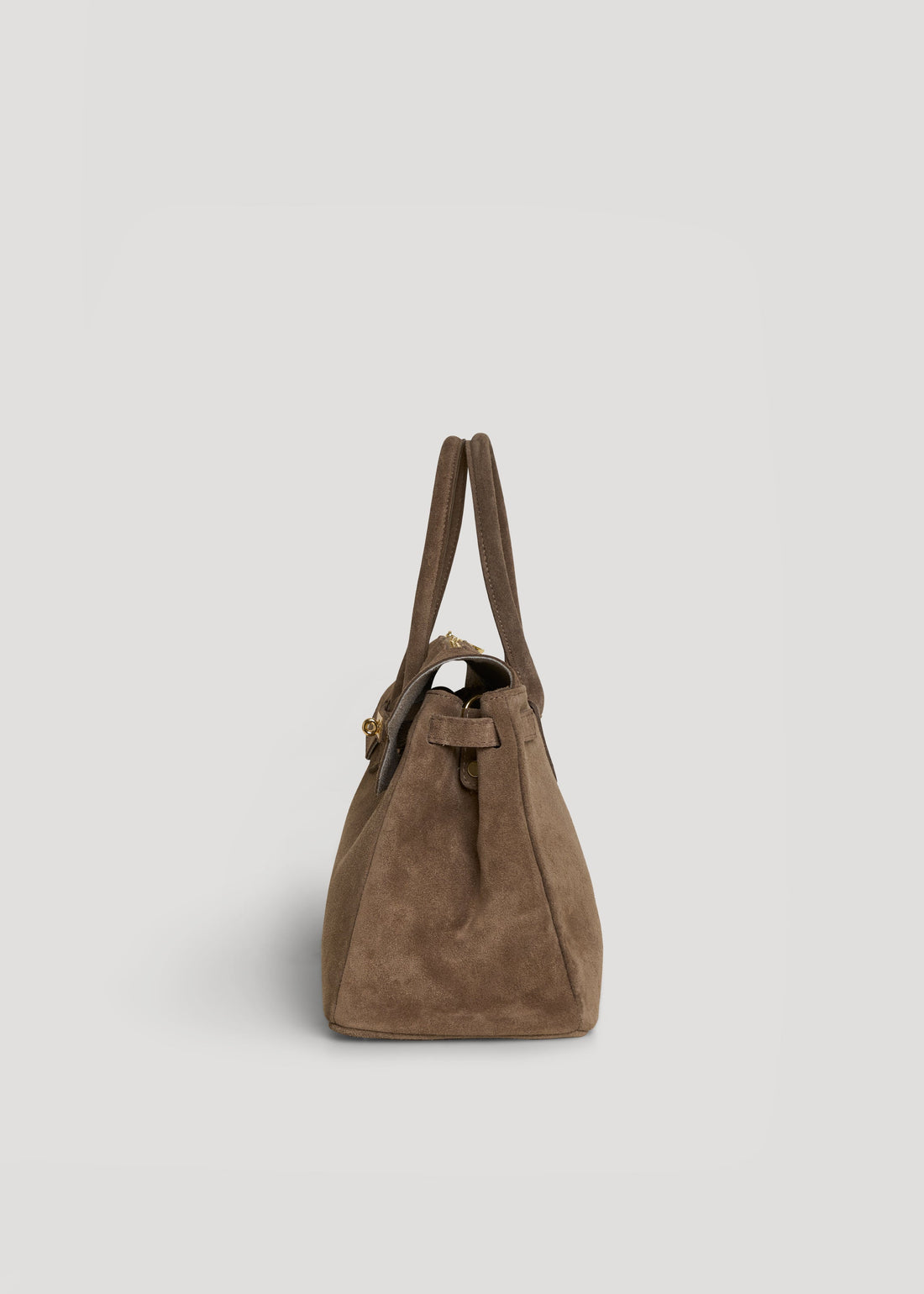 Elizabeth Bag in Taupe Suede and Togo Leather