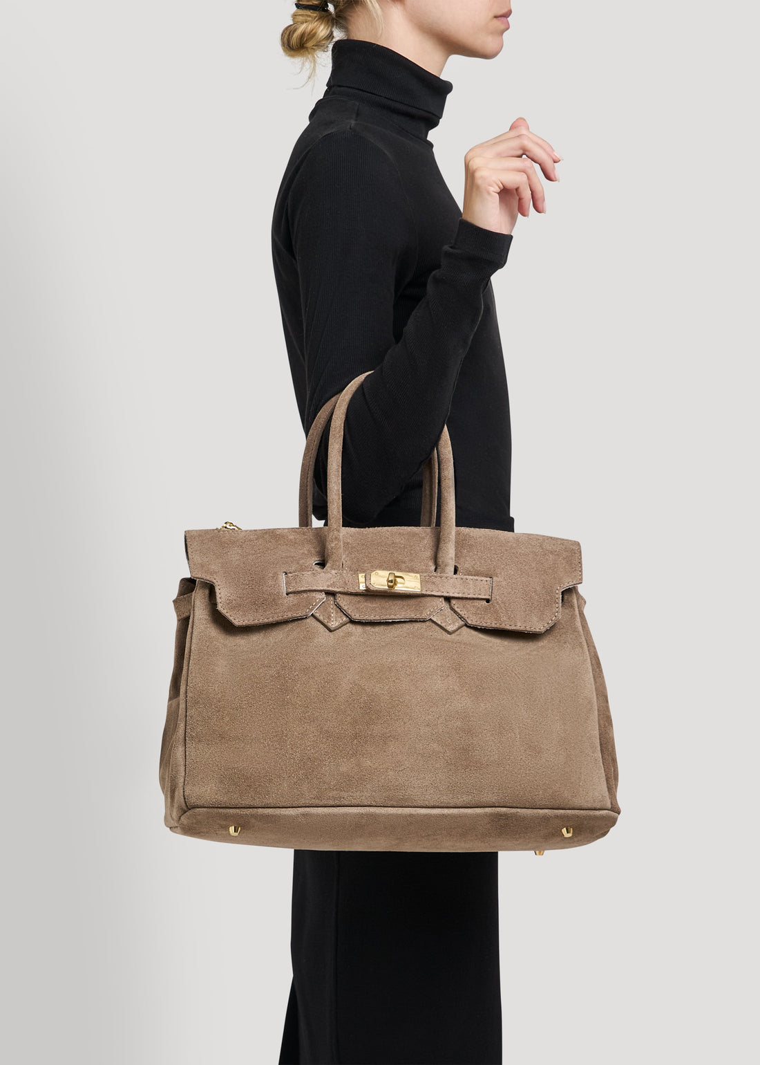 Elizabeth Bag in Taupe Suede and Togo Leather