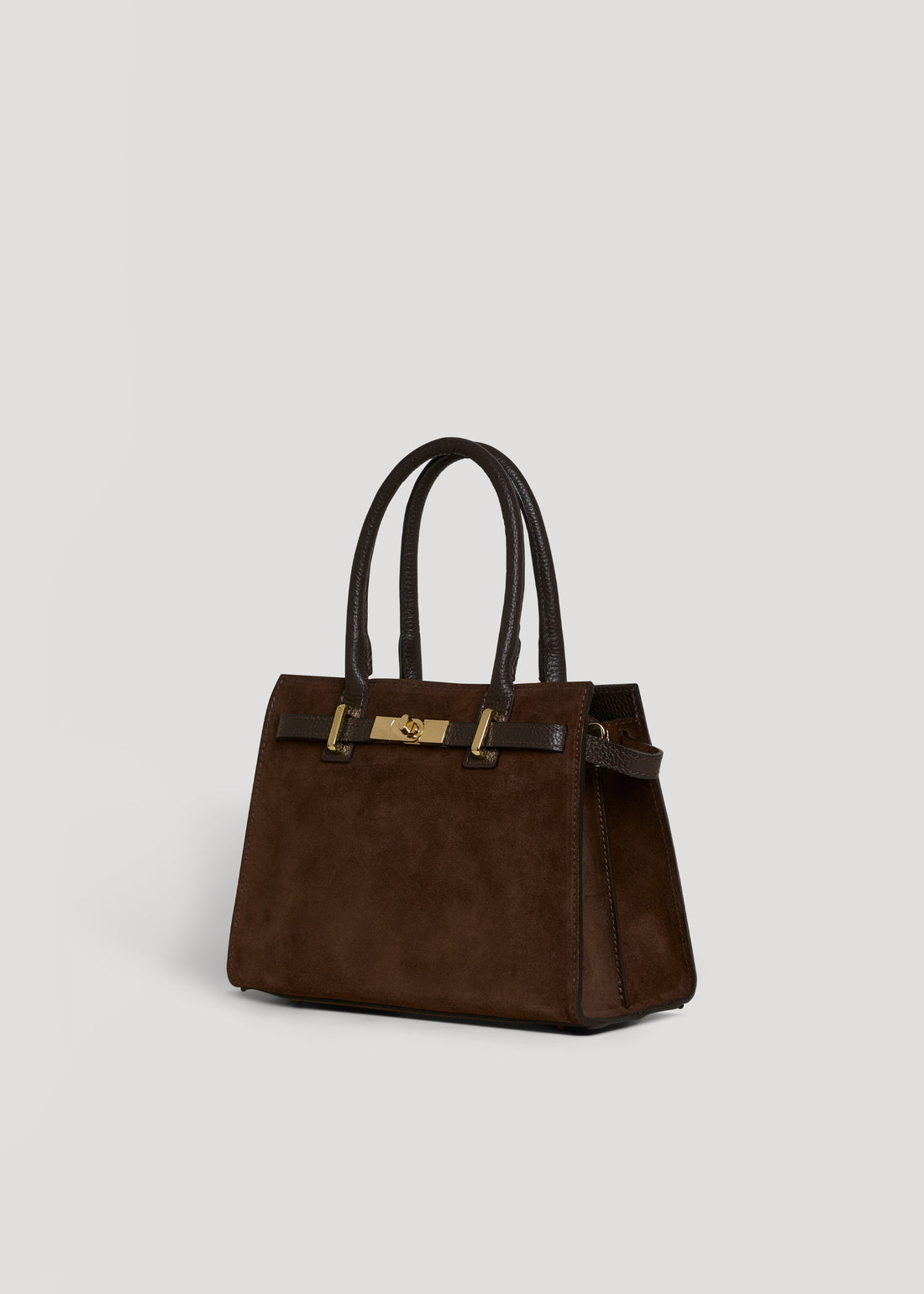 Grace Bag in Dark Brown Suede and Togo Leather