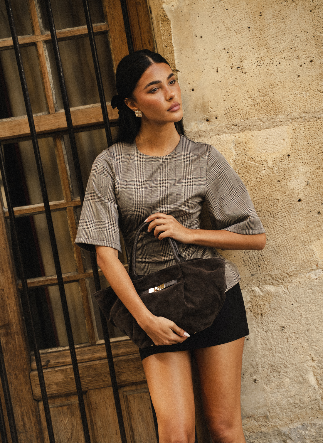 Charlène Bag in Dark Brown Suede and Togo Leather