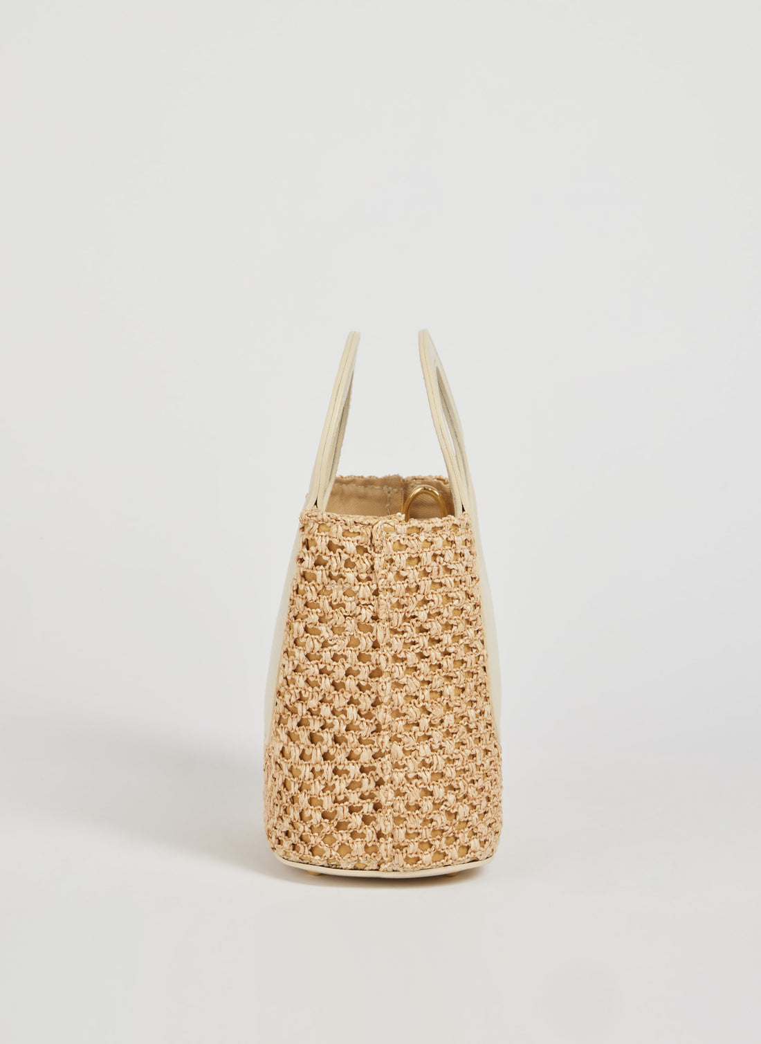 Alba Bag in Raffia and Dollar Leather Beige