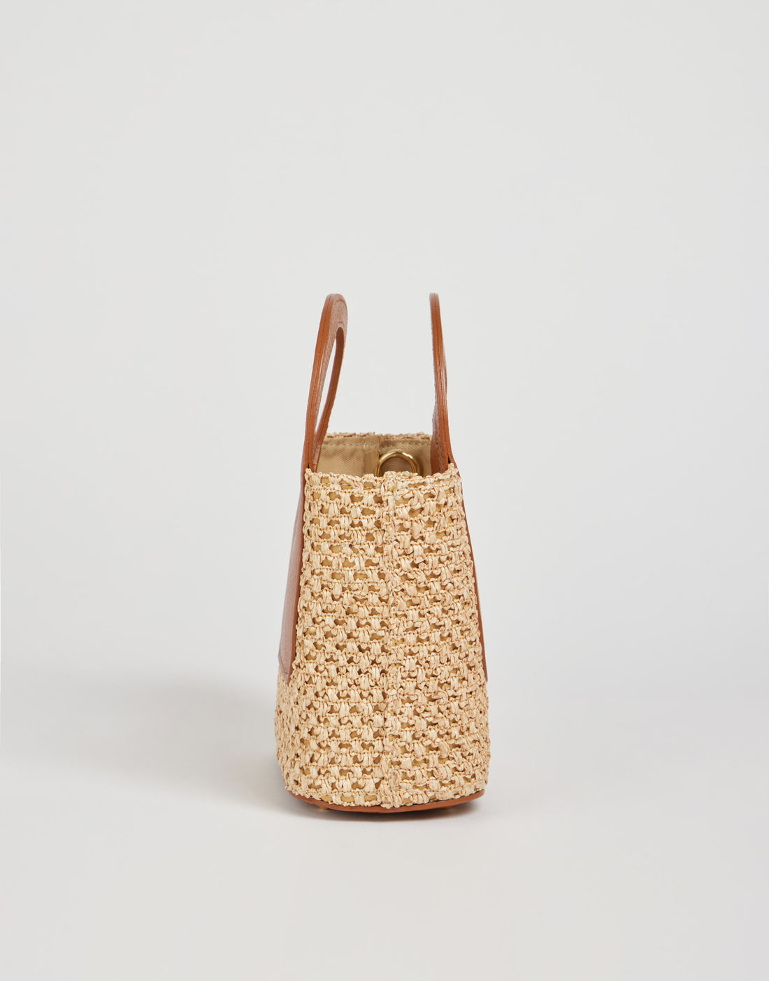 Alba Bag in Raffia and Dollar Leather Tan