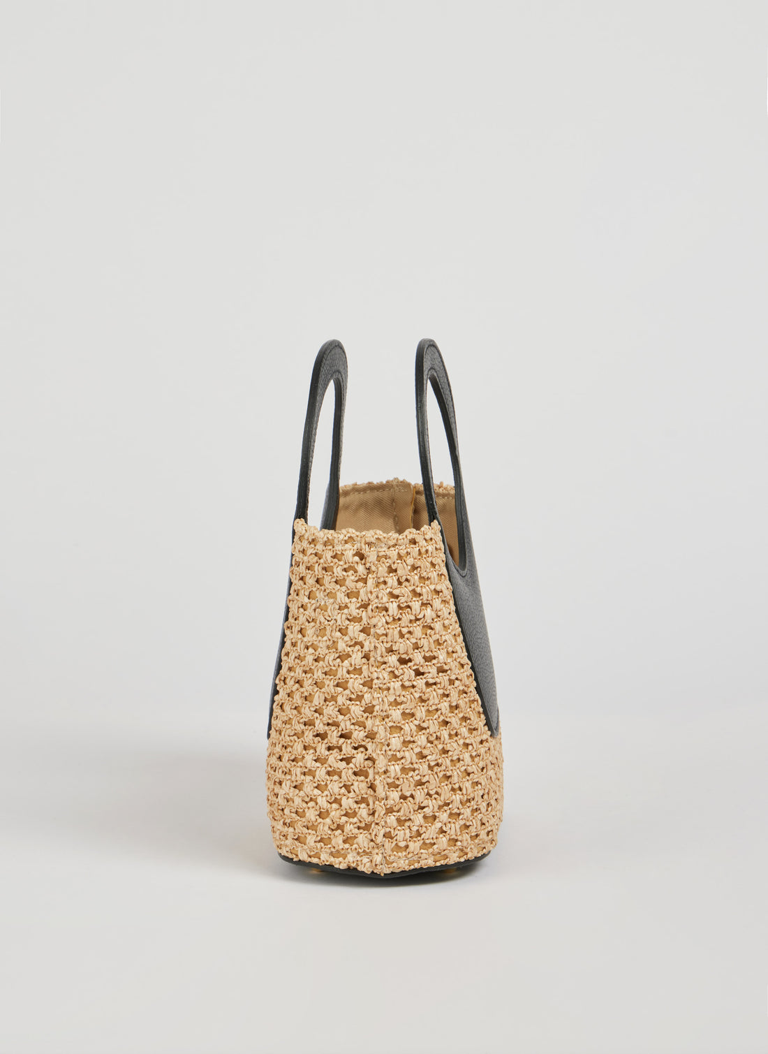 Alba Bag in Raffia and Dollar Leather Black