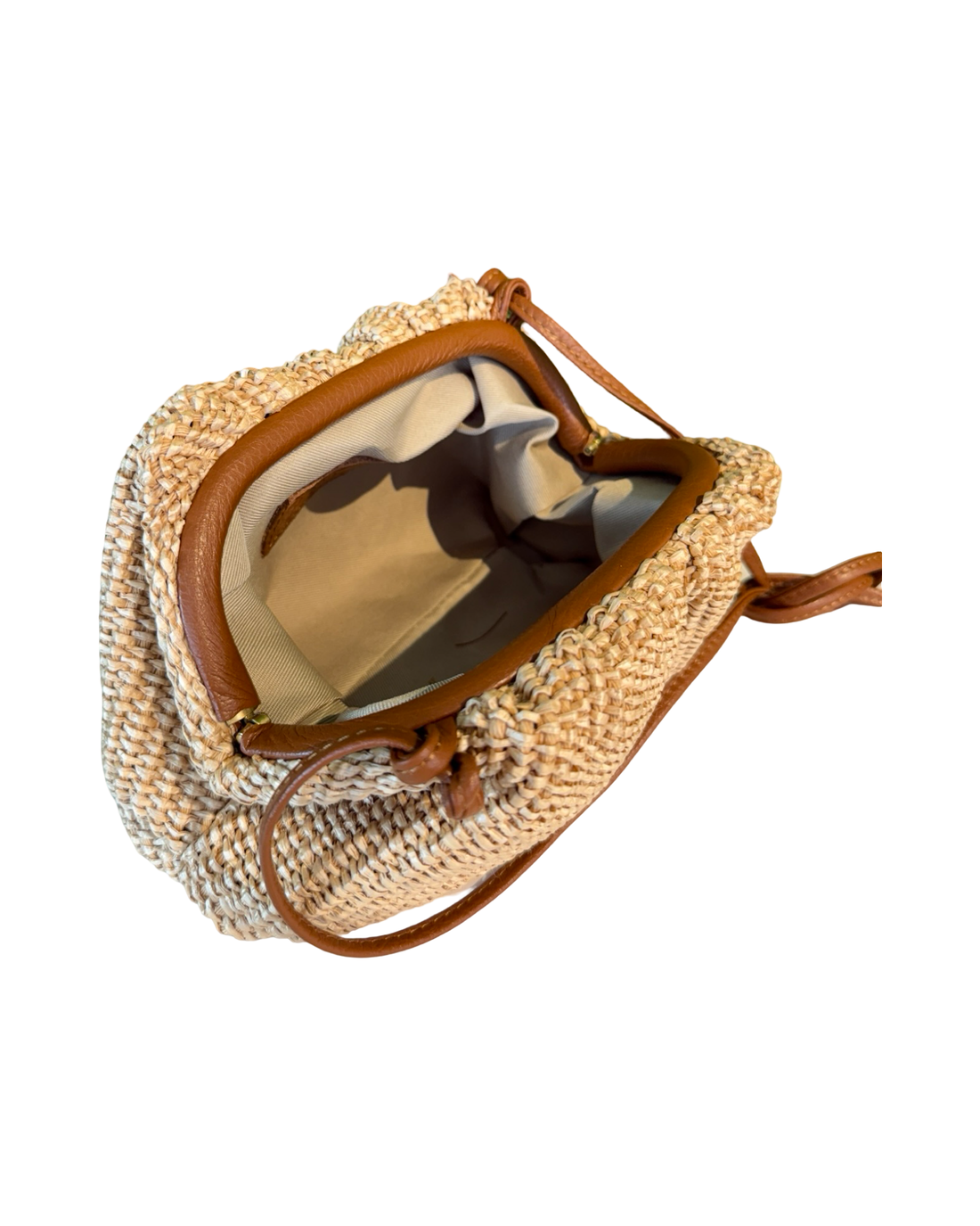 Alina Bag in Raffia and Dollar Leather Tan