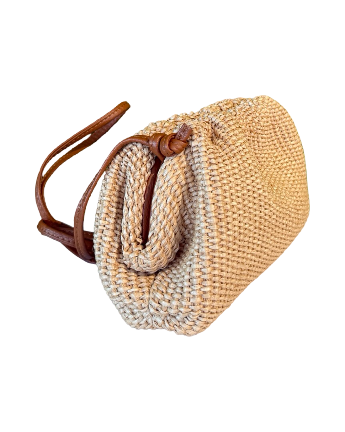 Alina Bag in Raffia and Dollar Leather Tan